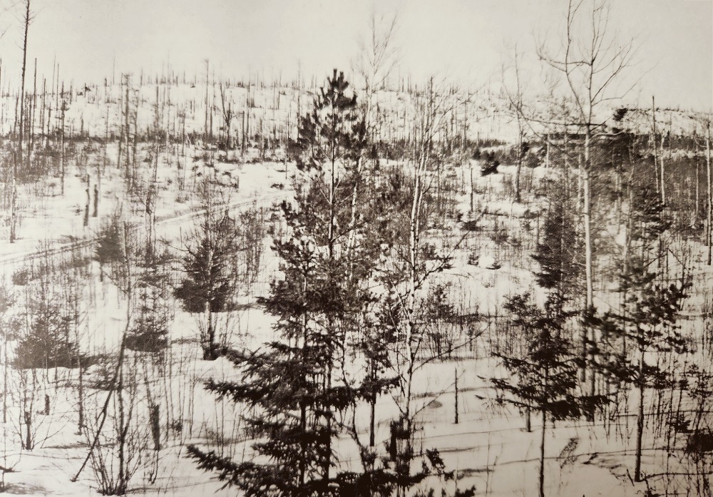 Вид на высоту 38,2 со стороны советских позиций. Фото сделано весной 1944 года.