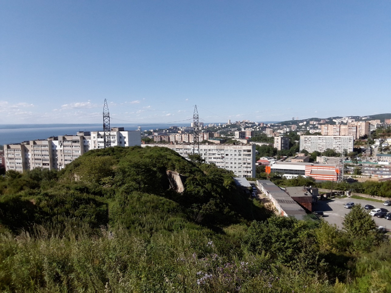 Вид с Временного Укрепления №1 в сторону Второй речки в начале XXI века. Фото автора.