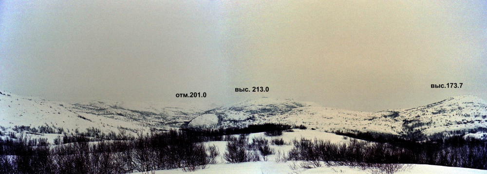 Вид на высоты 213.0 и 173.7 со стороны 116 осб. Фото автора.
